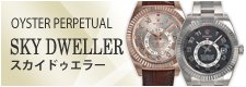 スカイドゥエラー